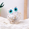 Resin Owl Display Decoration PW-WG50315-01-1