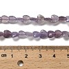 Natural Lepidolite/Purple Mica Stone Beads Strands G-P575-C01-6mm-5