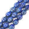 Natural Lapis Lazuli Beads Strands G-K311-09C-4