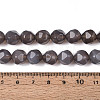 Natural Agate Beads Strands G-T121-08G-4