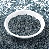 MIYUKI Round Rocailles Beads SEED-G007-RR0456-2