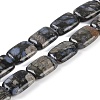 Natural Glaucophane Beads Strands G-C141-C01-03-1