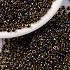 MIYUKI Round Rocailles Beads X-SEED-G008-RR0380-1