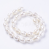 Shell Pearl Beads Strands BSHE-L035-D01-2