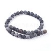 Natural Weathered Agate Beads Strands G-F628-01-C-2