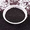 MIYUKI Round Rocailles Beads SEED-X0056-RR2402-2
