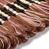 10 Skeins 6-Ply Polyester Embroidery Floss OCOR-K006-A10-2