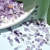 Natural Amethyst Chip Beads X-G-L453-06-3