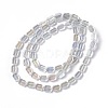 Electroplate Glass Beads Strands EGLA-L042-AB01-2