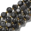 Natural Larvikite Beads Strands G-K387-A02-02-2