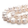 Natural Cultured Freshwater Pearl Beads Strands PEAR-L033-50-01-2
