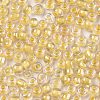 12/0 Glass Seed Beads SEED-A015-2mm-2202-2