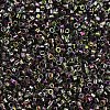 MIYUKI Delica Beads SEED-MY11-DB2205-3