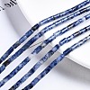 Natural Blue Spot Jasper Beads Strands G-S366-078-4