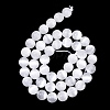 Natural Selenite Beads Strands LS-G-N328-025B-02-2