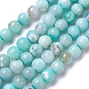 Natural Dyed Agate Imitation Turquoise Beads Strands X-G-P425-02A-6mm-2