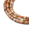 Natural Imperial Jasper Beads Strands G-Q171-A01-01F-5