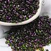 Spray Painted Glass Seed Beads SEED-F005-07A-04-1