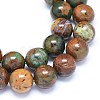 Natural Jasper Gemstone Beads Strands G-O180-15F-3