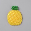 Fruit Theme Plastic Cabochons KY-WH0004-22A-1