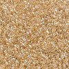 MIYUKI Delica Beads SEED-J020-DB0099-3