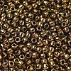 TOHO 6/0 Round Beads X-SEED-TR06-0223-3