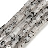 Natural Seame Jasper Beads Strands G-P600-B11-01-2