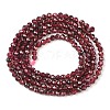 Natural Garnet Beads Strands G-F619-17A-2mm-5