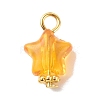 Transparent Acrylic Pendants PALLOY-JF01834-03-2