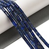 Natural Lapis Lazuli Beads Strands G-B091-A15-01-2
