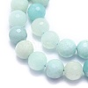 Natural Amazonite Beads Strands G-K310-A02-8mm-3