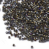 FGB 11/0 Grade A Glass Seed Beads SEED-S030-0007-2
