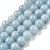 Dyed Natural Malaysia Jade Beads Strands G-G021-02C-20-1