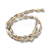 Natural Freshwater Shell Beads Strands SSHEL-B002-13-2