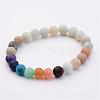 Natural Amazonite & Gemstone Beads Stretch Bracelets BJEW-JB02510-04-1