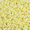 Baking Paint Glass Seed Beads X1-SEED-K010-A09-2