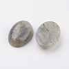 Natural Labradorite Flat Back Cabochons X-G-G741-13x18mm-18-2