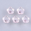 Transparent Acrylic Bead Caps TACR-T007-04D-1