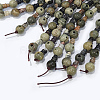 Natural Silver Leaf Jasper 3-Hole Guru Bead Strands G-K149-29-4
