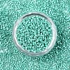 11/0 Grade A Baking Paint Glass Seed Beads SEED-S030-1038-3