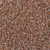 MIYUKI Delica Beads SEED-X0054-DB1221-3