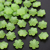 Imitation Jelly Acrylic Beads LS-MACR-S373-92-E06-1