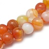 Natural Striped Agate/Banded Agate Beads Strands G-I254-03A-02-1
