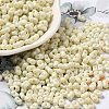 Baking Paint Glass Seed Beads SEED-K009-01A-22-1