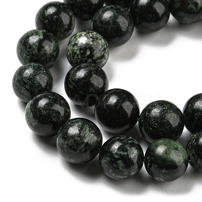 Natural Serpentine Beads Strands G-P504-10mm-01-1
