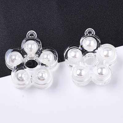 Transparent Acrylic Pendants X-TACR-R146-012-1