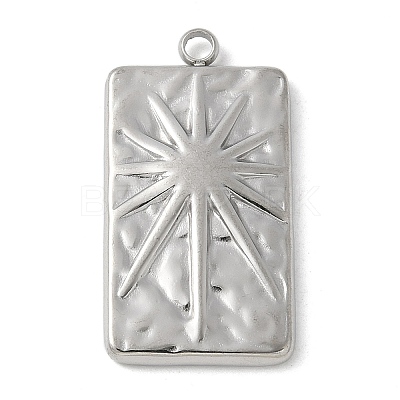 304 Stainless Steel Pendants STAS-L277-03A-P-1
