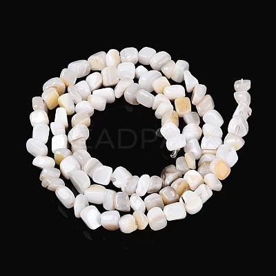 Natural Freshwater Shell Beads Strands SHEL-N037-04K-1