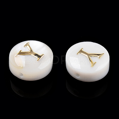 Natural Freshwater Shell Beads SHEL-N036-01Y-1