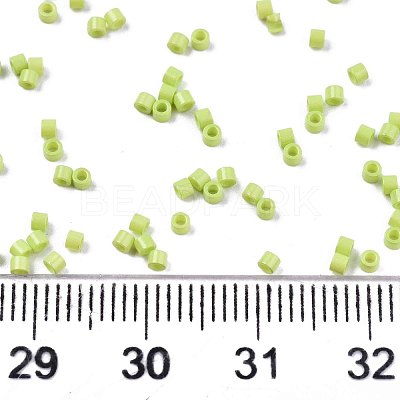 FGB 11/0 Grade A Glass Seed Beads SEED-S030-1013-1